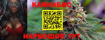 a pvp Можга