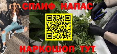 a pvp Можга
