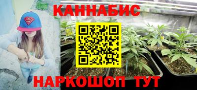 сатива Можайск