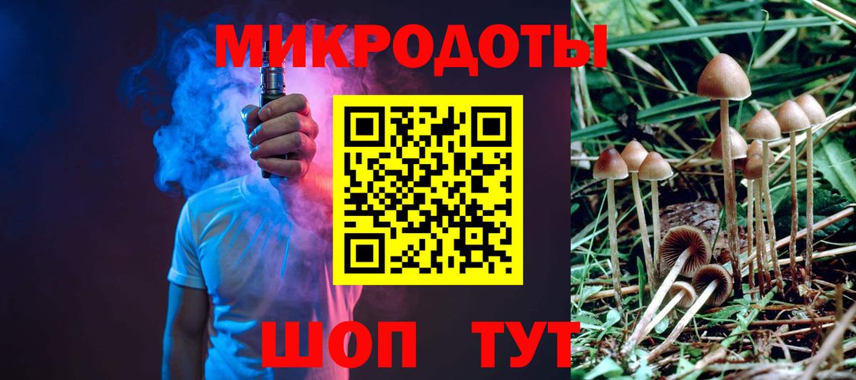 Псилоцибиновые грибы прущие грибы Вышний Волочёк