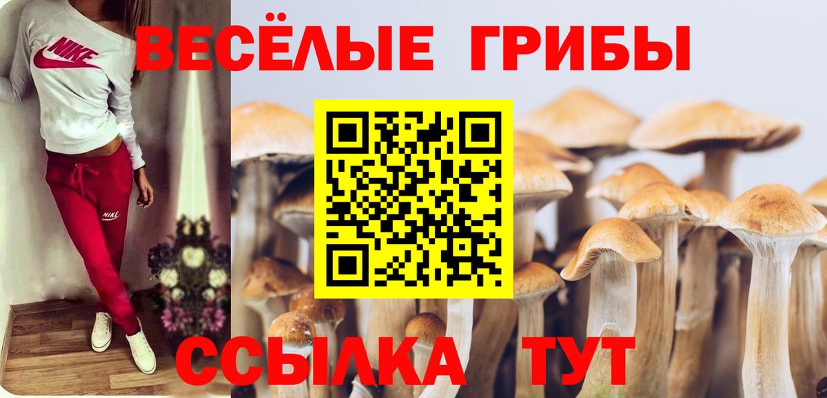 Вышний Волочёк  магазин продажи наркотиков  Галлюциногенные грибы Psilocybe  Вход с VPN  Псилоцибиновые грибы мухоморы 