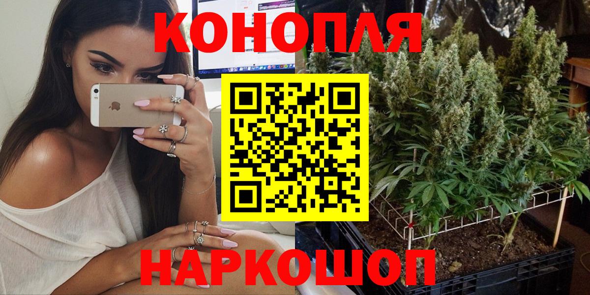 Конопля индика Вышний Волочёк